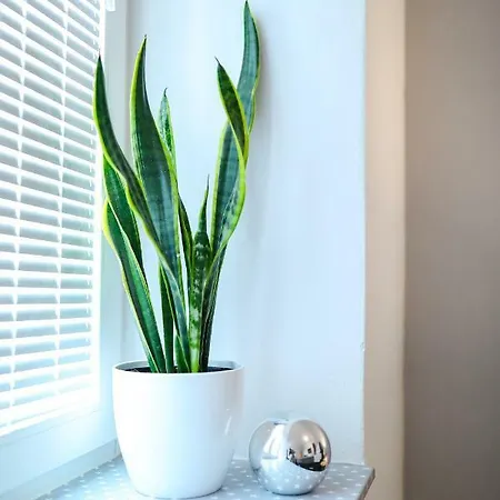 Stomorica Apartmán Zadar