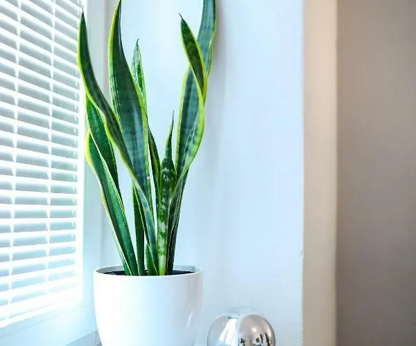 Stomorica Apartman Zadar